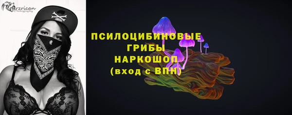 ALPHA PVP Рославль