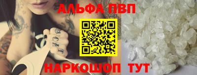 СК Кингисепп