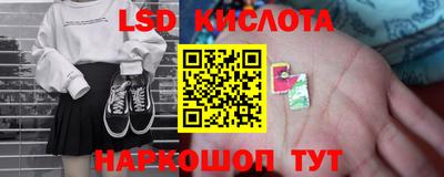 СК Кингисепп