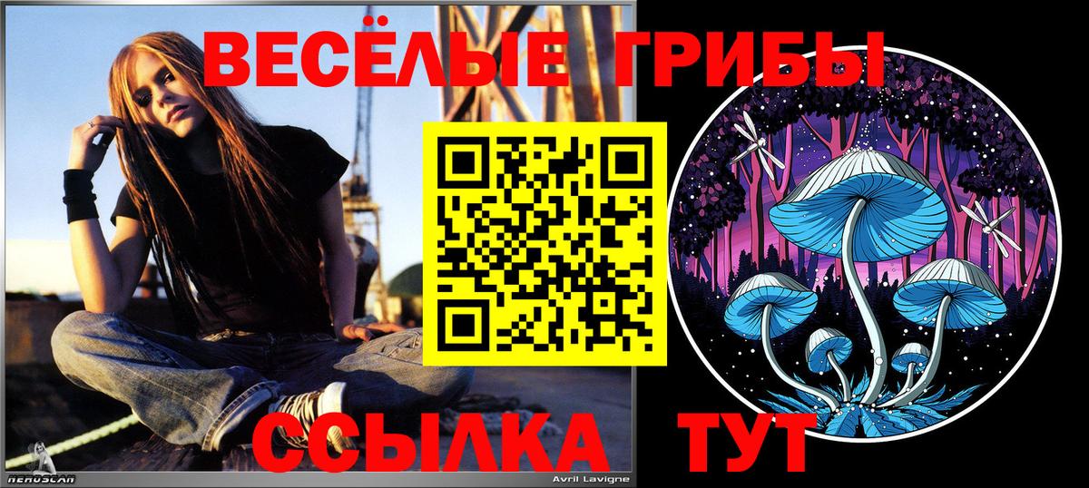 Галлюциногенные грибы Cubensis Пенза