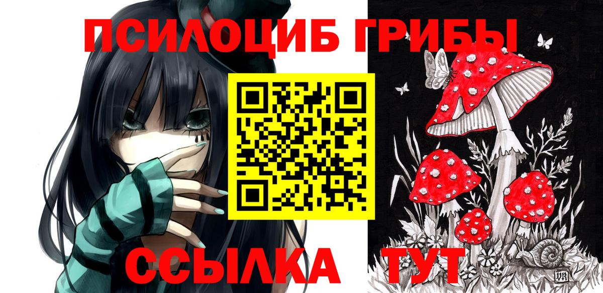 Пенза  Псилоцибиновые грибы мухоморы  Вход с VPN 